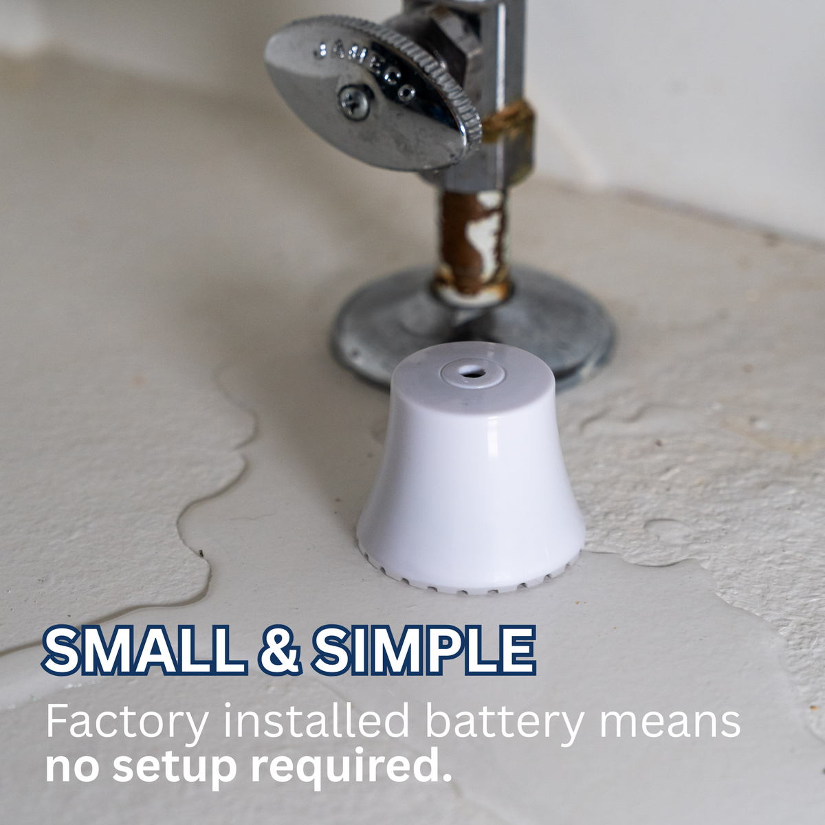 Whole-Home Water Leak Alarm Kit – Flood Buzz® Small (6 & 12 Packs)