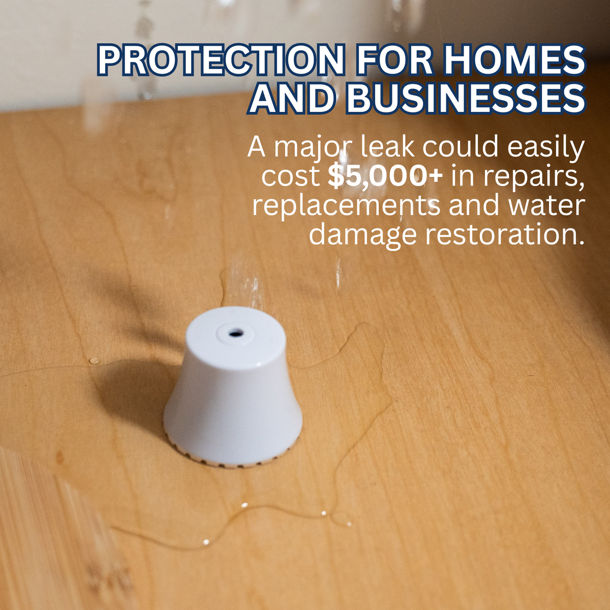 Whole-Home Water Leak Alarm Kit – Flood Buzz® Small (6 & 12 Packs)